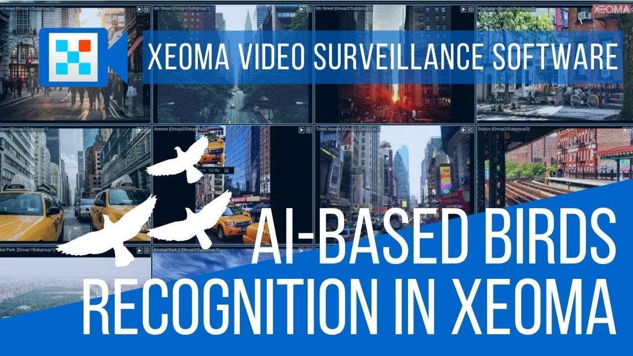 AI-based birds recognition in Xeoma for airports