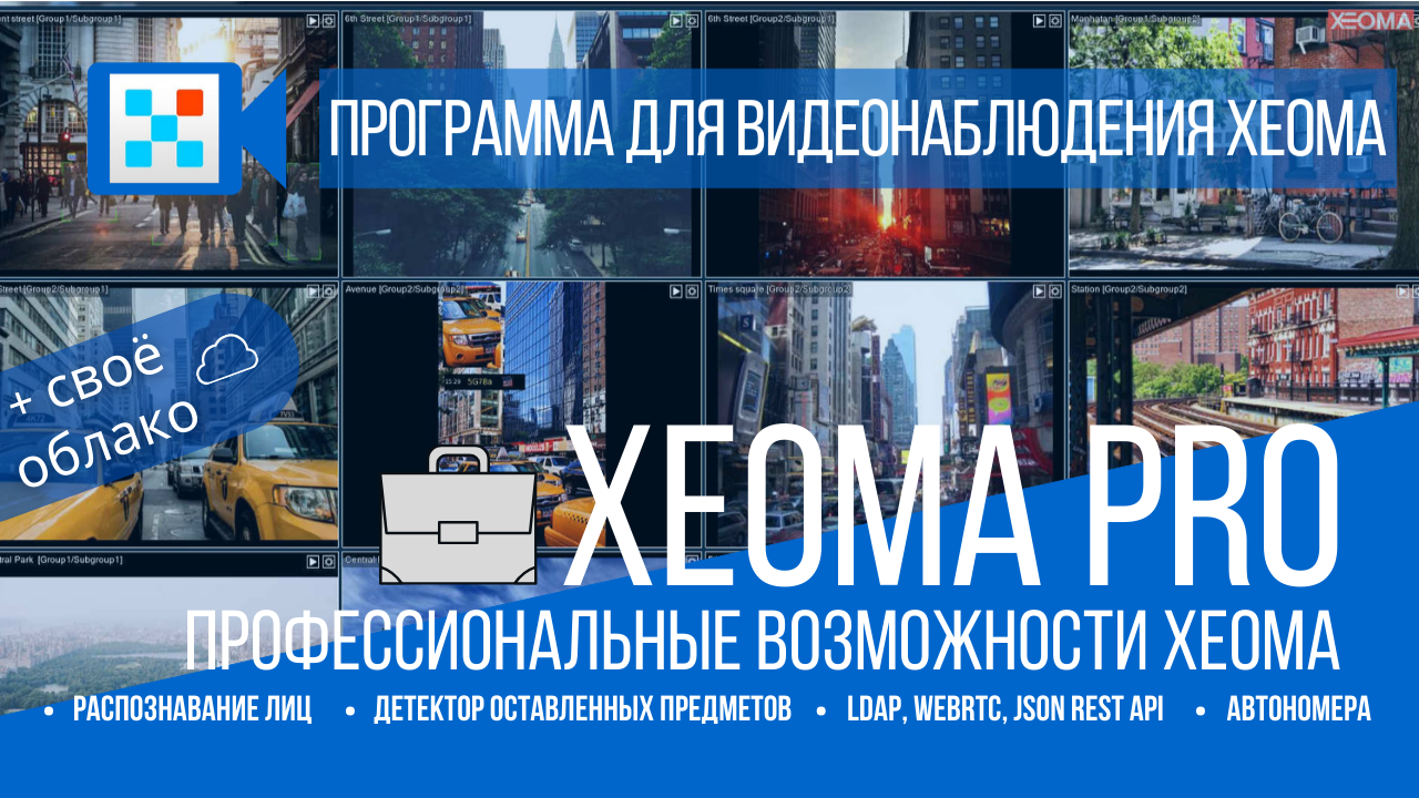 Xeoma Pro - профессиональная видеоаналитика программы для видеокамер Xeoma